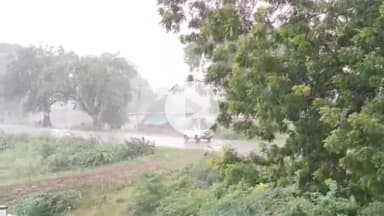 వాంకిడి: ఆసిఫాబాద్ జిల్లాలో గడిచిన 24 గంటల్లో 8.2 మిల్లీమీటర్ల వర్షపాతం నమోదు