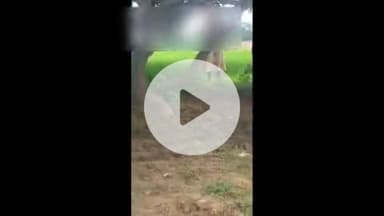 सिराथू: सातों गांव के एक बाग में आम के पेड़ से लटकती मिली मां की डांट से नाराज होकर घर से गई किशोरी की लाश