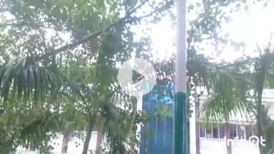 जमुई: समाहरणालय में स्वतंत्रता दिवस पर DM ने झंडोत्तोलन किया, महात्मा गांधी की प्रतिमा पर माल्यार्पण किया