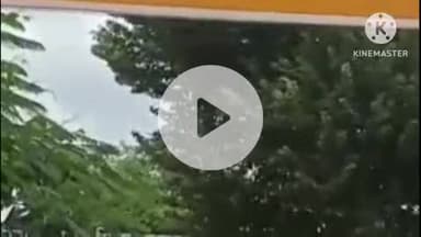 परबतसर: रामदेवरा पदयात्रा में जा रही महिला ने बाजवास में एक पेड़ से लटक कर की आत्महत्या, पुलिस मौके पर पहुंची