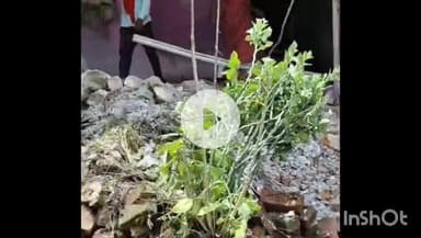 गुना: चौरसिया कॉलोनी, गुलाबगंज में मकान तोड़ने का आरोप, थाने में शिकायत दर्ज