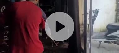 लक्सर: लक्सर के वरदान गेस्ट हाउस में रेस्ल वाइपर सांप का वन विभाग की टीम ने किया रेस्क्यू, सुरक्षित जंगल में छोड़ा