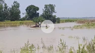 धनौरा: लगातार गंगा का जलस्तर बढ़ने से गजरौला ग्रामीण क्षेत्र के लोग परेशान