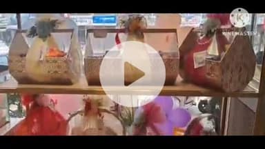 भिवानी: जिले में धूमधाम से मनाया जा रहा जन्माष्टमी पर्व, विभिन्न स्थानों पर निकाली गई मनमोहक झांकियां