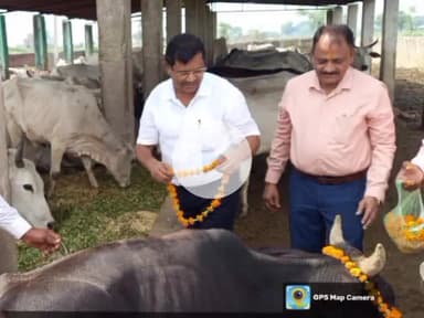 कर्वी: चित्रकूट के मऊ अहिरी और सुरौंधा गांव में बीडीओ ने गौ आश्रय स्थल में गौवंशों का पूजन किया