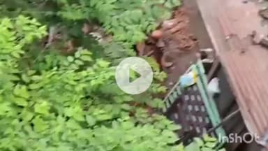 बरेली: प्रेम नगर थाना क्षेत्र के रामलीला ग्राउंड के पास हो रहा अवैध निर्माण, बरेली पुलिस से की गई शिकायत