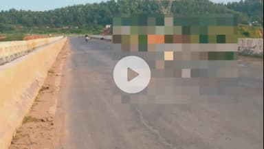 सिंगरौली: एनएच 39 गोपद पुल के पास अज्ञात वाहन ने दो गौवंशों को मारी टक्कर, दोनों की मौके पर ही मौत