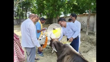 भदोही: जन्माष्टमी पर भदोही की गौशालाओं में हुआ गौ पूजन, मुसी में सीडीओ ने किया पूजा