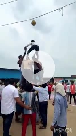 एत्मादपुर: श्री कृष्ण जन्माष्टमी के अवसर पर कान्हा गौशाला में दही हांडी कार्यक्रम का भव्य आयोजन हुआ