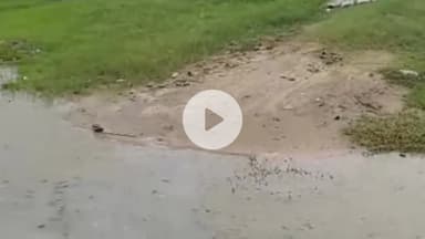 नूह: हिंगनपुर गांव के कब्रिस्तान में बरसाती पानी भरने से कब्र खोदने में परेशानी, जल निकासी की मांग