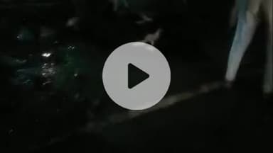 फतेहाबाद: डौकी के ग्राम नगला देवहंस में गोवंश से टकराकर बाइक सवार घायल, उपचार के लिए अस्पताल में भर्ती