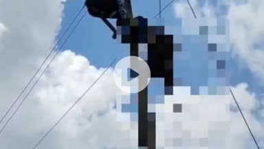 सिंगरौली: सिंगरौली में 11केवी लाइन पर लटका मिला शव, अर्ध विक्षिप्त युवक ने दी जान, बाजार के लिए निकला था