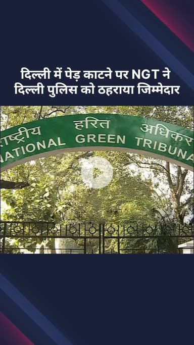 सरस्वती विहार: दिल्ली में पेड़ काटने पर एनजीटी ने दिल्ली पुलिस को ठहराया जिम्मेदार