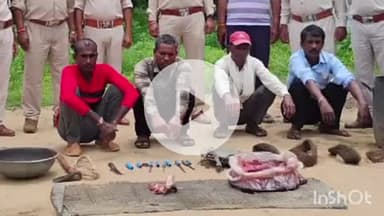 पुष्पराजगढ़: कल्याणपुर: जंगली सूअर के शिकार मामले में चार आरोपी गिरफ्तार, 16 किलो कच्चा मांस जब्त