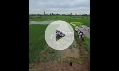 నూతనకల్: నూతన కళ్ళు కు చెందిన రైతు వరి పొలంలో భారత దేశ పటం వైరల్ గా మారిన వీడియో