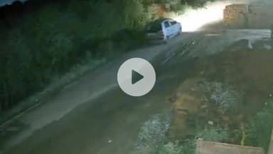 नूह: मूढ़ेता गांव में नसीरपुरी रोड से तीन बकरियां चोरी, सीसीटीवी में कैद हुई घटना