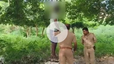 मथुरा: वृन्दावन में संदिग्ध परिस्थितियों में पेड़ से लटका मिला युवक का शव, शिनाख्त के प्रयास जारी