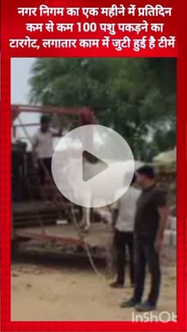 गुरुग्राम: नगर निगम का लक्ष्य, टीमें एक महीने में प्रतिदिन कम से कम 100 पशु पकड़ेगी