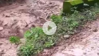 मकरीड़ी: बादल फटने से खडिहार-रक्तल मार्ग बंद, सोशल मीडिया पर वीडियो हुआ वायरल