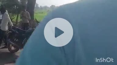 डबरा में बकरी चोर गैंग सक्रिय, सिमरिया ताल गांव से लोडिंग वाहन में 50 बकरियां चोरी