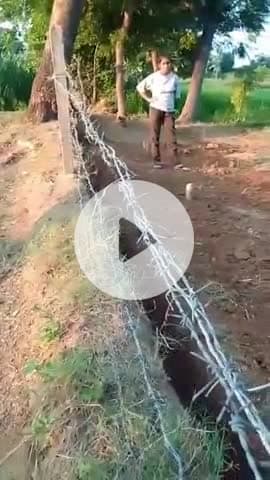 बाह: ललपुरा गांव में दबंगों का उत्पात, महिला ने थाने में दी तहरीर