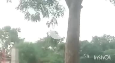 गुना: गाजीपुर: पुल के दोनों ओर ढलान नहीं बनने से स्कूली बच्चे और ग्रामीण परेशान, वीडियो जारी