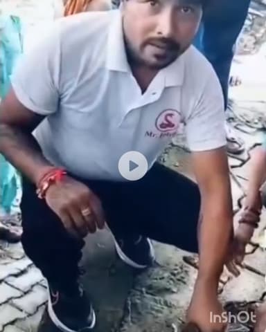 गुरुग्राम: मंदिर में दिखा 15 फीट लंबा अजगर, बरगद के पेड़ से लिपटा मिला, अरावली जंगल में छोड़ा