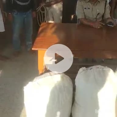 नरपतगंज: घूरना पुलिस ने बॉर्डर के समीप दो स्कॉर्पियो सहित 74.5 किलो गांजा के साथ दो लोगों को किया गिरफ्तार, एसपी ने की पूछताछ