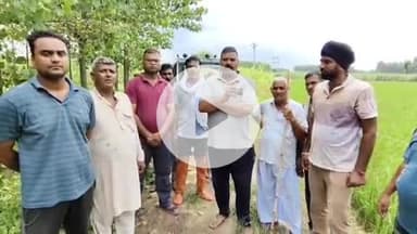 लक्सर: लक्सर के मिर्जापुर गांव में किसान के खेत में अजगर मिलने से मची अफरा-तफरी, वन विभाग की टीम ने रेस्क्यू कर जंगल में छोड़ा