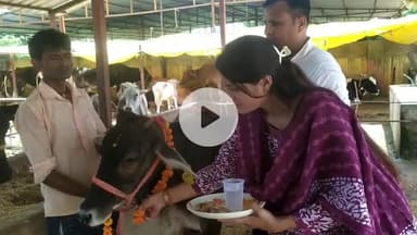 जन्माष्टमी के अवसर पर ग्राम पंचायत हलूहर्राजपुर गोशाला पहुंचकर गौ पूजन किया।
#जन्माष्टमी #गौमाता