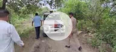 लक्सर: लक्सर में जलभराव से गन्ने की 50 फीसदी नुकसान, 8000 बीघा धान की फसल भी प्रभावित, तहसील प्रशासन कर रहा नुकसान आकलन