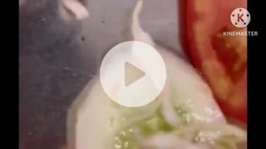 हुज़ूर: नामचीन वृंदावन ढाबे पर सलाद में निकली जिंदा इल्ली; VIDEO, खाद्य विभाग ने शुरू की जांच