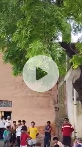 नरवल: नरवल थाना क्षेत्र में 75 वर्षीय वृद्ध की पड़ोसी द्वारा डंडे से पिटाई, गंभीर रूप से घायल होने पर इलाज के दौरान हुई मौत