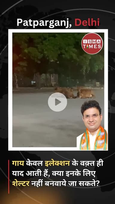 कचरा खाने को मजबूर गाये क्यों नहीं बनाये जाते शेल्टर ? #patparganj #dehinews