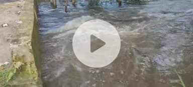 लक्सर: लक्सर में देर रात हुई बारिश से बिगड़े हालात, हर तरफ पानी ही पानी, बैंग गंगा का लेवल खतरे के निशान से ऊपर पहुंचा