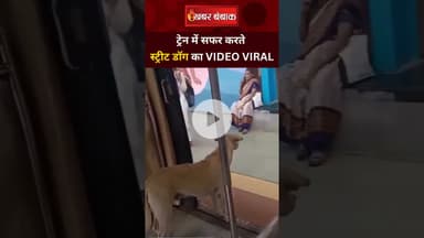 Street Dog को इस तरह Train में सफर करते देख आप भी कहेंगे - वाह Dogesh भाई !