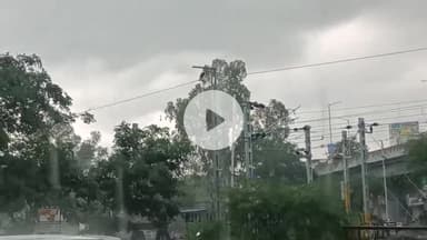 रतलाम नगर: कलेक्टट कार्यालय भू-अभिलेख ने दी सूचना, रतलाम जिले में पिछले 24 घंटे में औसत 8.88 मि.मी. वर्षा दर्ज