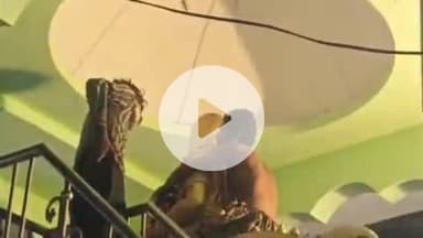 झांसी: शराब के नशे में धुत युवक ने जीवन शाह चौराहा स्थित मूर्ति पर चढ़कर काटा हंगामा, वीडियो आया सामने