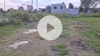 नारासन: इकबालपुर में स्थित इकबालपुर शुगर मिल पर प्रशासन ने दिखाई सख्ती, वसूली न होने पर 77 बीघा भूमि की गई कुर्क