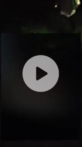 विभूतिपुर: विभूतिपुर सिंघिया घाट-रोसड़ा रेलखंड पर युवक का दो टुकड़ों में शव मिला