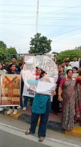 अलवर: श्वानों को लेकर दिए आदेश के मामले में पशु प्रेमियों ने नंगलि सर्किल पर किया प्रदर्शन, मानवीय निर्देश की मांग की