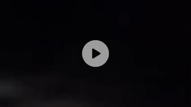 नूह: करहेड़ा गांव में तेंदुआ दिखने से लोगों में डर, ग्रामीण तेंदुए को ढूंढने जंगल में निकले