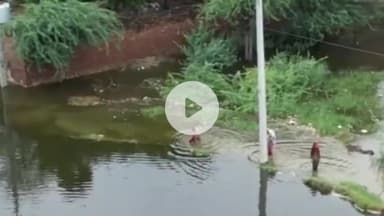 नूह: गांव बैंसी की बीपीएल कालोनी में भरा बारिश का पानी ग्रामीण परेशान, जिला प्रशासन से की समाधान करने की अपील#jansamsaya