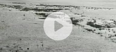 आरंग: आरंग थाना क्षेत्र अंतर्गत महानदी में विवाहिता महिला ने लगाई छलांग, मौके पर गोताखोर और पुलिस की टीम मौजूद