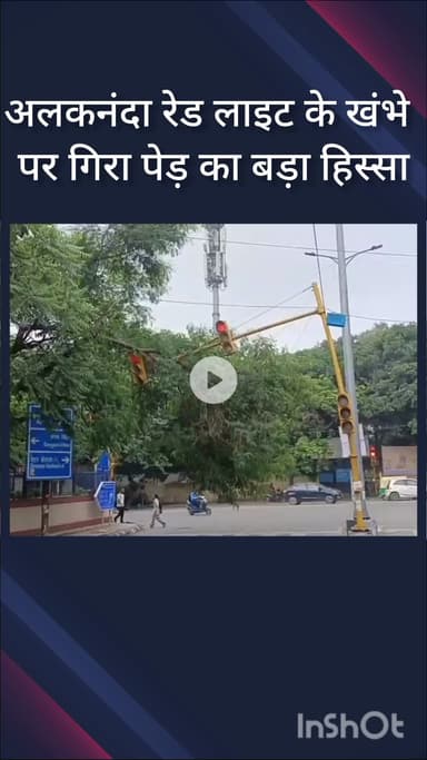 हौज खास: अलकनंदा रेड लाइट के खंभे पर गिरा स्कूल परिसर का पेड़, हादसे का डर