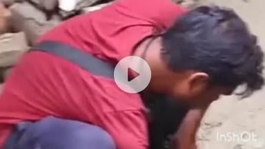 लहलादपुर: जनता बाजार में पानी की टंकी से नाग-नागिन के जोड़ा को रेस्क्यू टीम ने निकाला बाहर