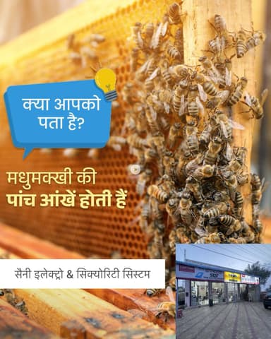 सैनी सिक्योरिटी सॉल्यूशन चूरू 

#Churu #CCTV #न्यूज़