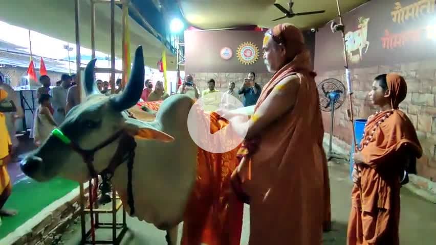 #मुंबई_महाराष्ट्र भव्य एवं दिव्य चातुर्मास्य व्रत अनुष्ठान 
परम् पूज्य ज्योतिष् पीठाधीश्वर जगद्गुरु शंकराचार्य जी महाराज श्री 
गौ माता राष्ट्र माता यज्ञशाला में आवाहित देवताओं,ध्वज पूजन,गौ माता पूजन,गांव देवी मंदिर दर्शन 18 अगस्त 202