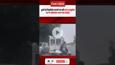 Delhi: कुत्तों को वैक्सीनेट कराने जा रही MCD Ambulance का गेट खोलकर भाग गया शख्स! #shorts