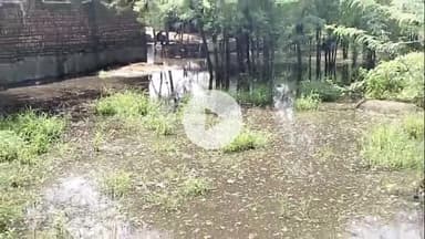 नूह: गांव मौहम्मदपुर तेड में बारिश का पानी भरने से मकान गिरने का डर, एसडीएम पुन्हाना को दी शिकायत